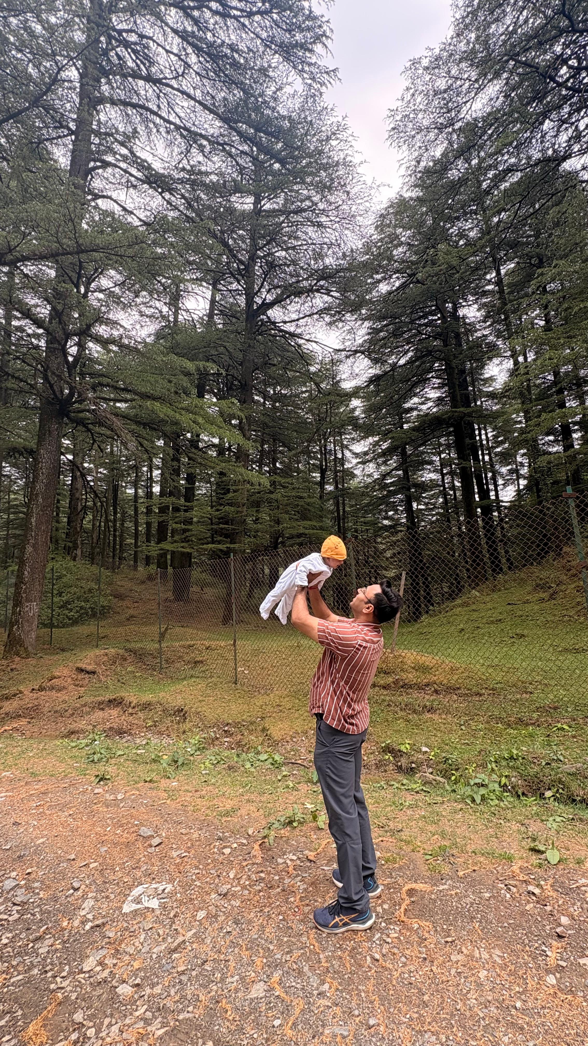Pravin Kaushal lifting his child in a cedar forest